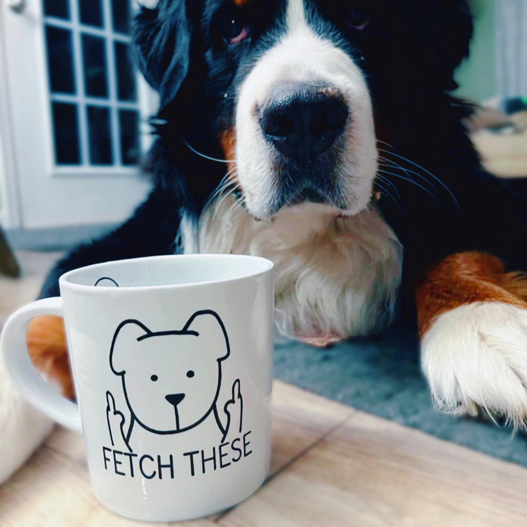 TDFT’s Hand Designed 18oz Ceramic Coffee Mugs