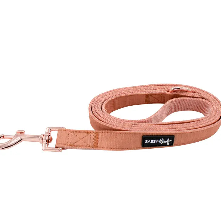 Sassy Woof Dog Leashes