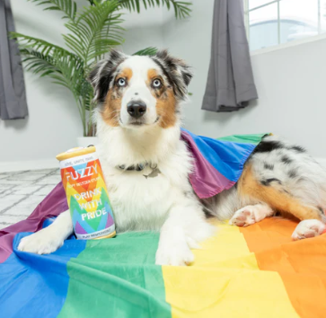Fuzzy Pride Dog Toy by Huxley & Kent