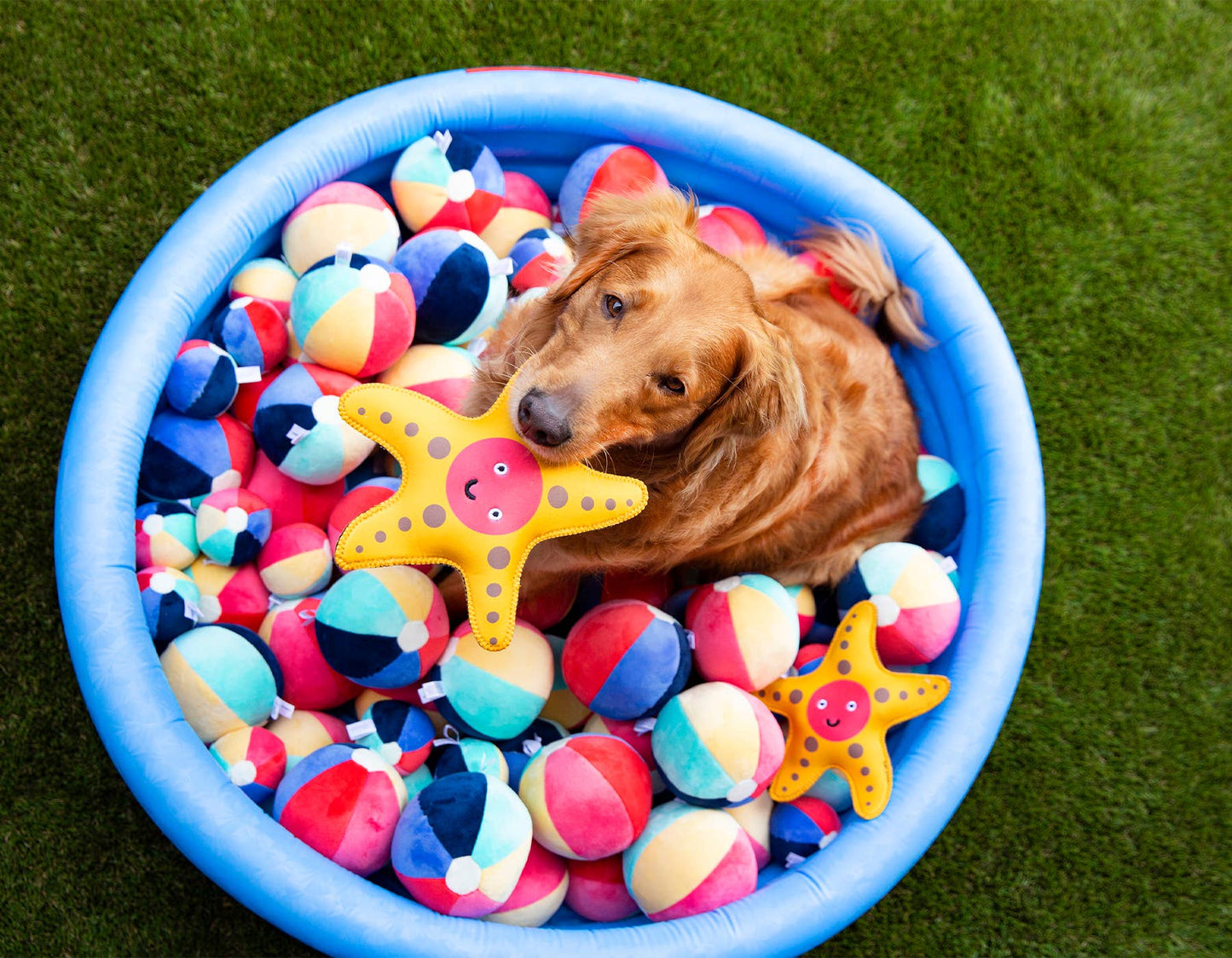 Beach Ball Plush Dog Toy w/ Squeaker by Jax & Bones