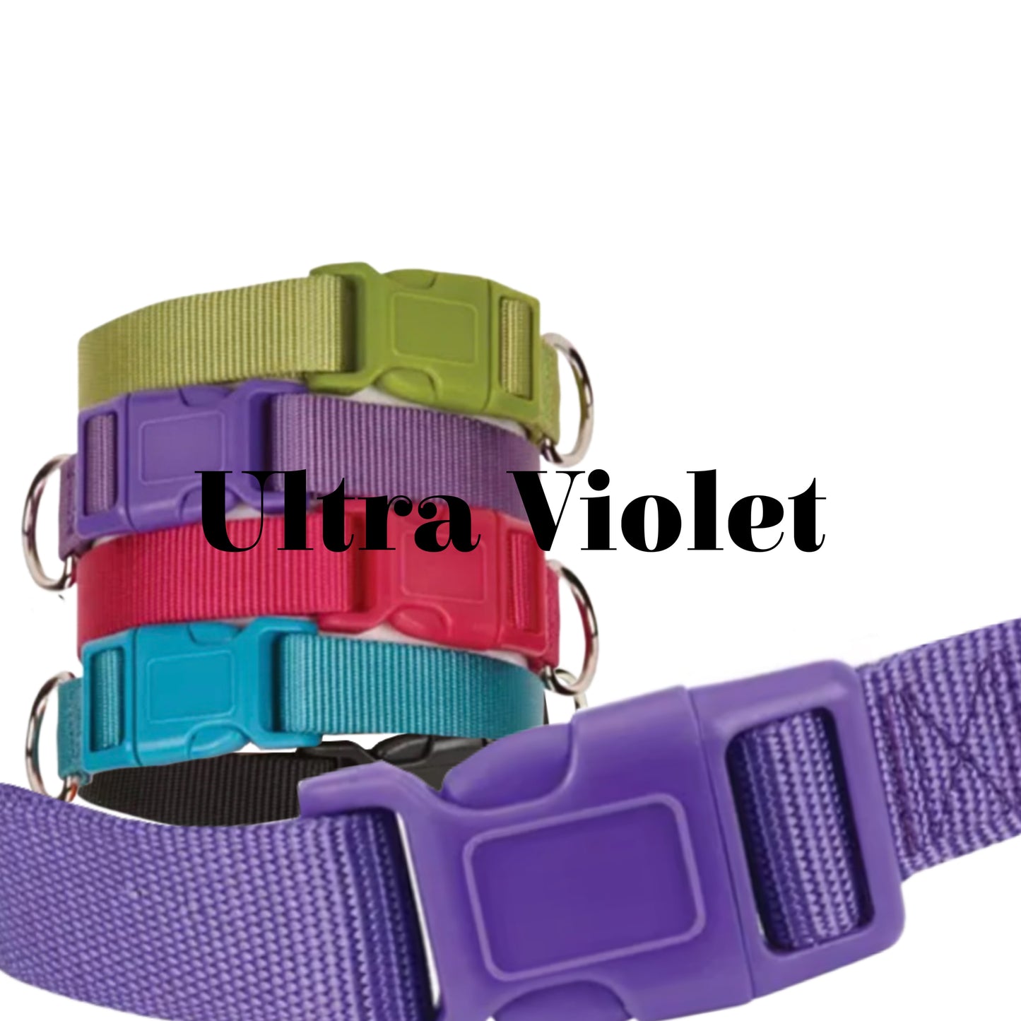 Casual Canine Dog Collars