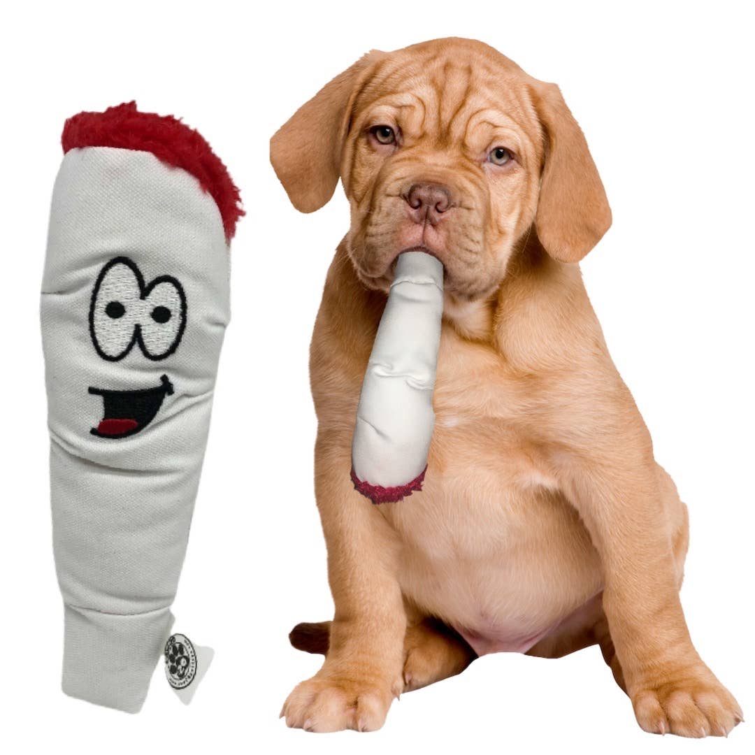 My Name is Jay the Joint Stuffed Dog Toy