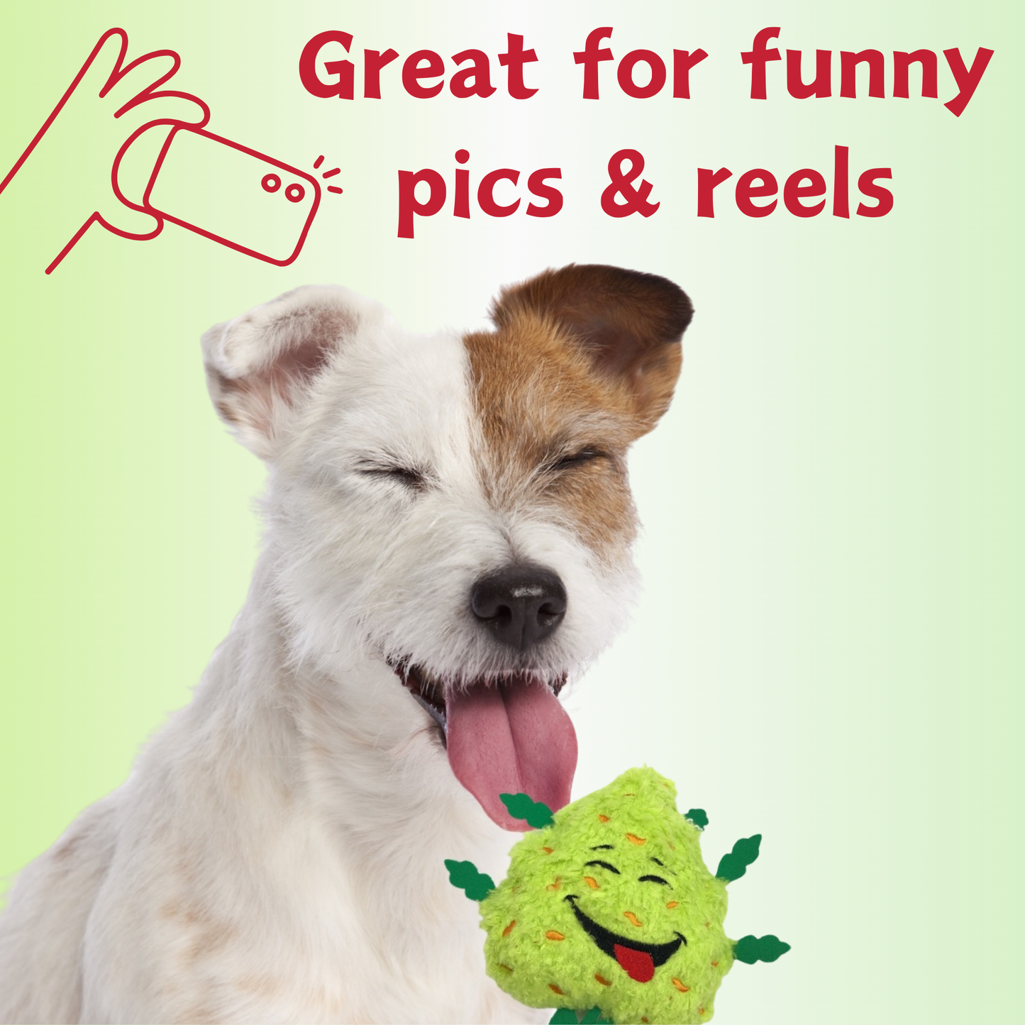 My Name is Bud the Weed Nug Plush Dog Toy