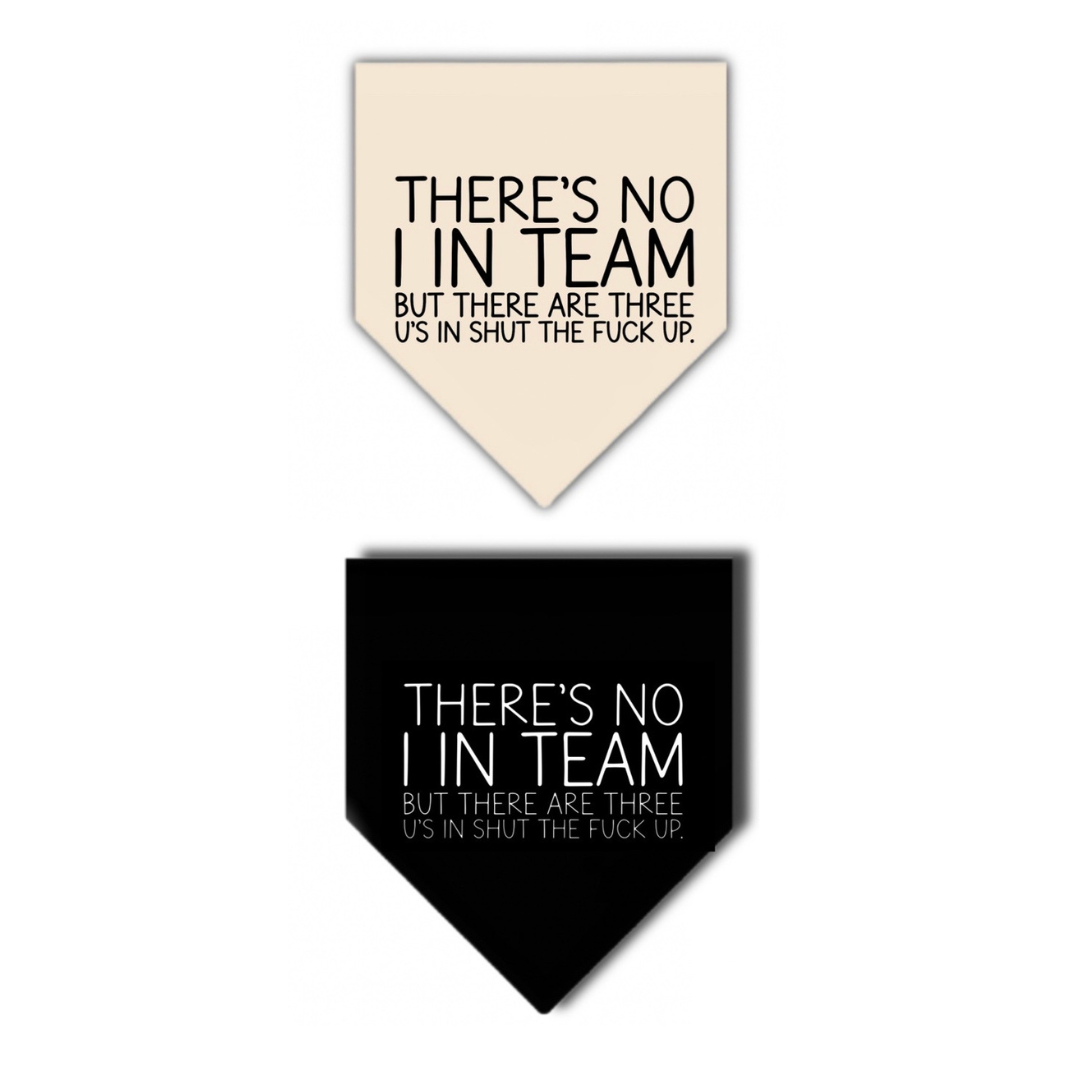 No "I" In Team