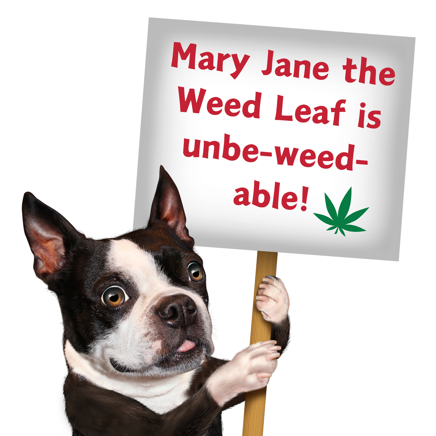 My Name is Mary Jane the Weed Leaf Stuffed Dog Toy