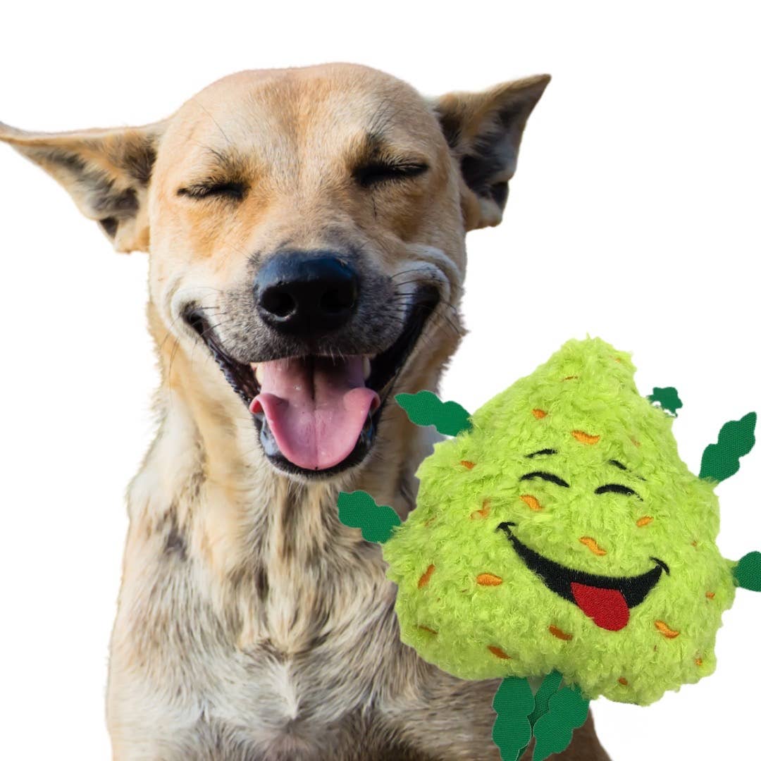 My Name is Bud the Weed Nug Plush Dog Toy