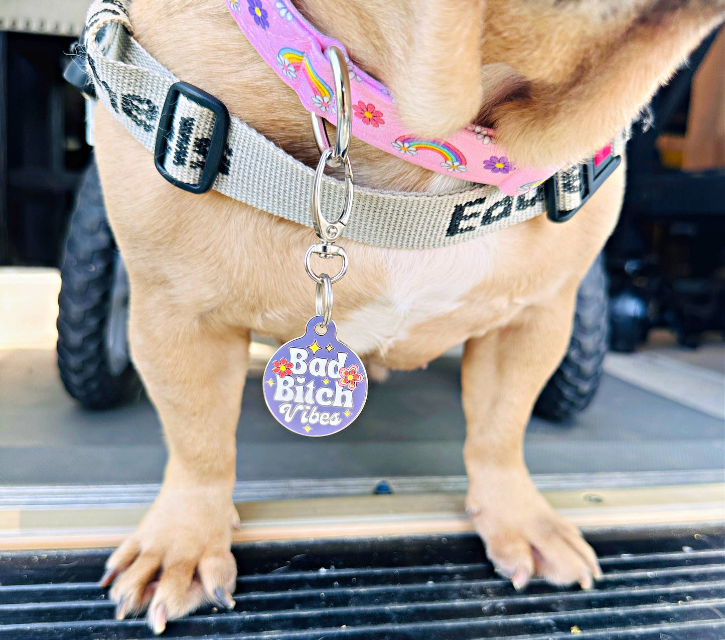 Dog Tags/Collar Charms by Bad Tags!!