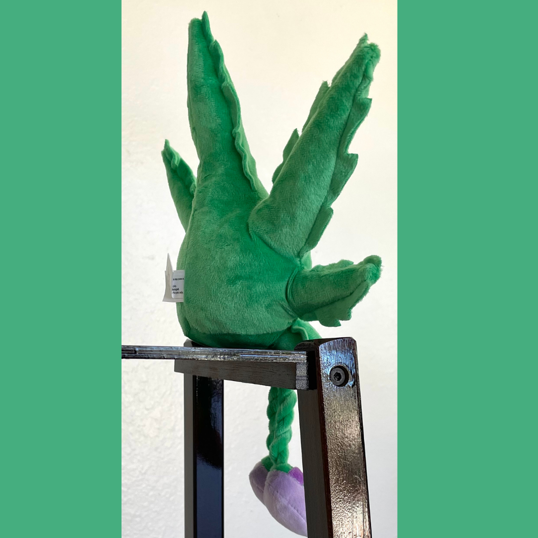 My Name is Mary Jane the Weed Leaf Stuffed Dog Toy