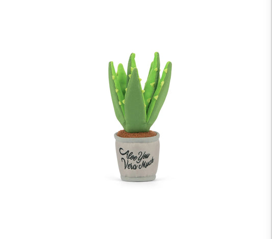 Blooming Buddies Aloe-ve You Plant Dog Toy by PLAY