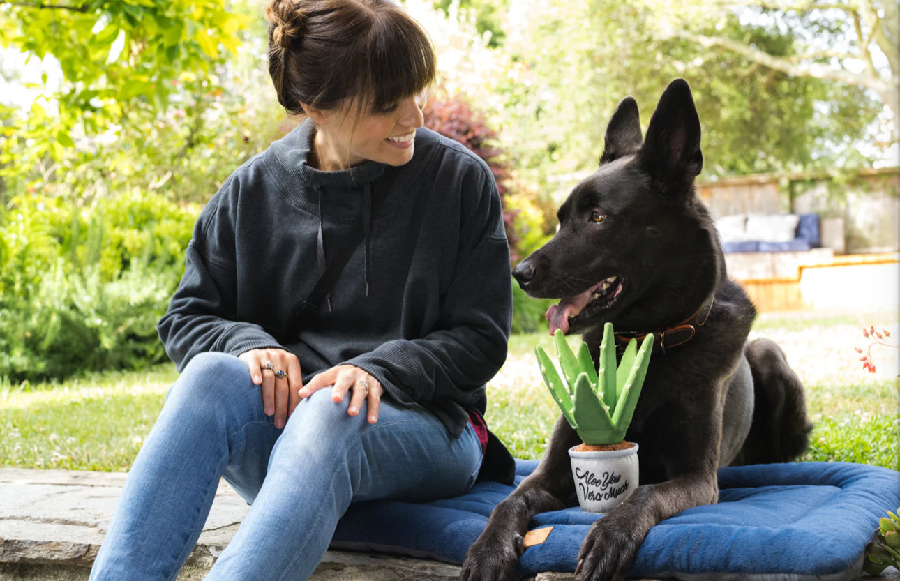 Blooming Buddies Aloe-ve You Plant Dog Toy by PLAY