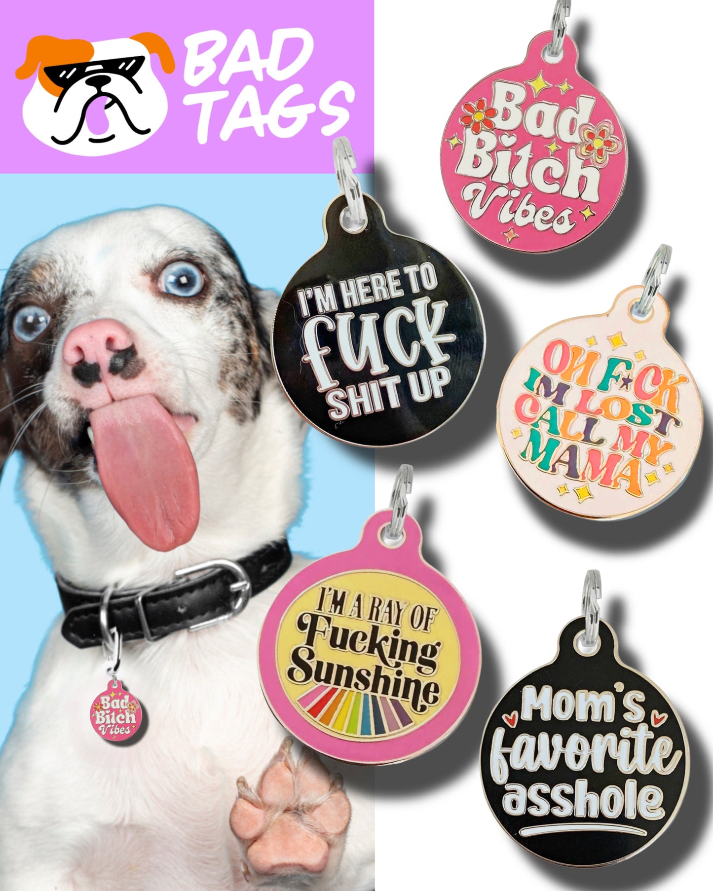 Dog Tags/Collar Charms by Bad Tags!!