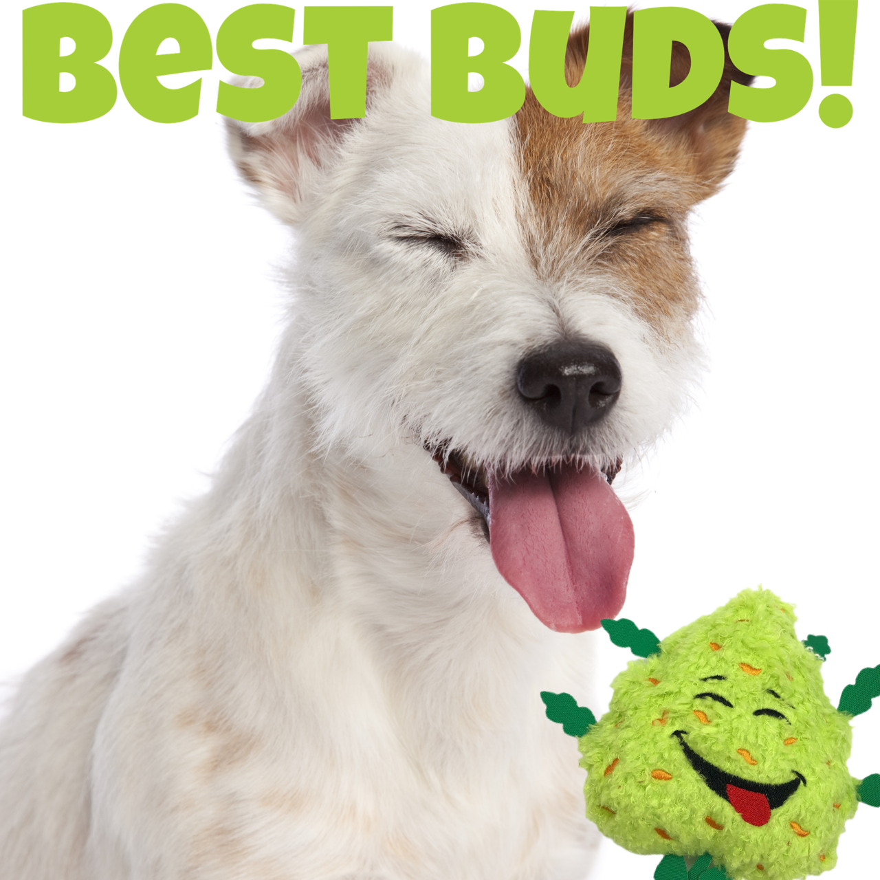 My Name is Bud the Weed Nug Plush Dog Toy