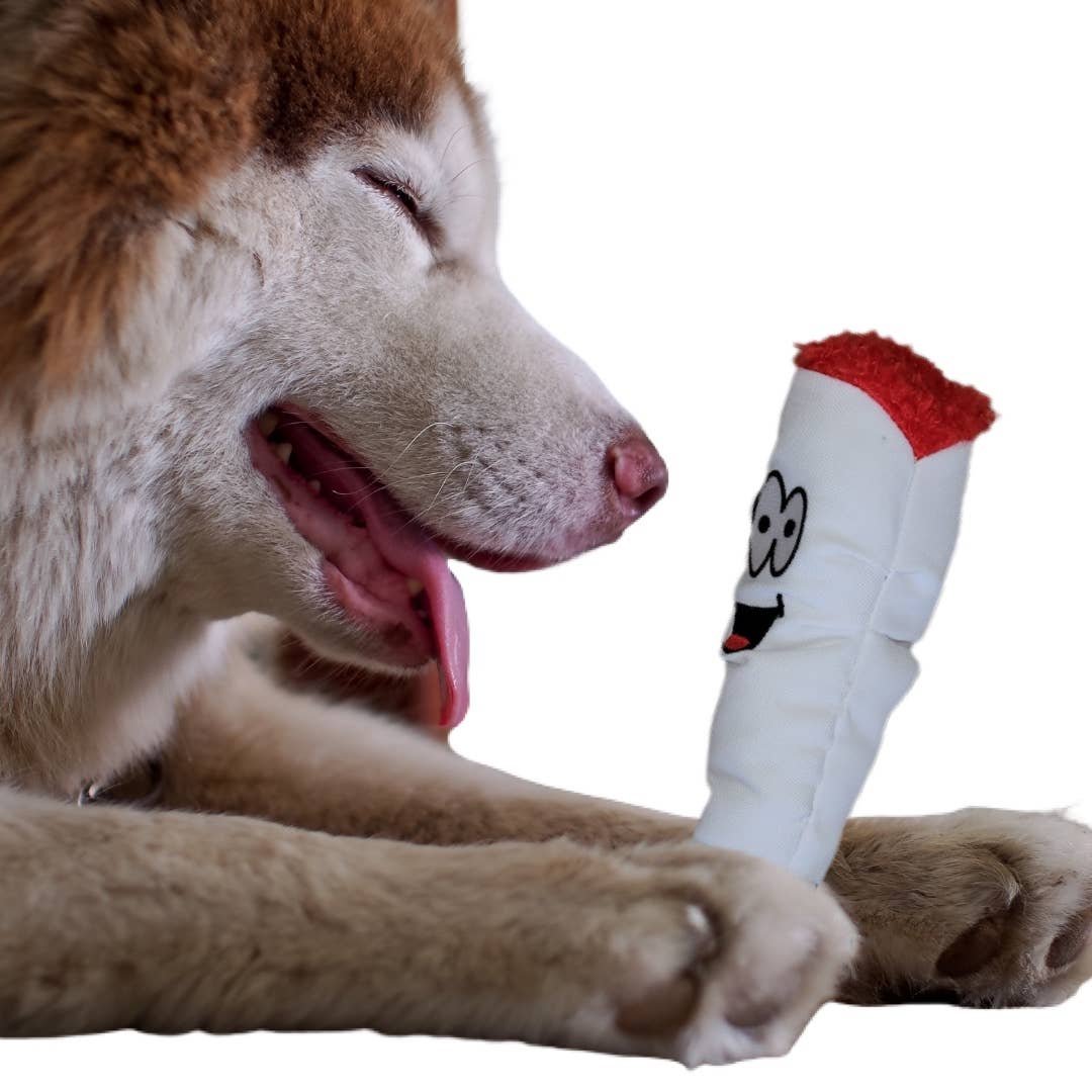 My Name is Jay the Joint Stuffed Dog Toy