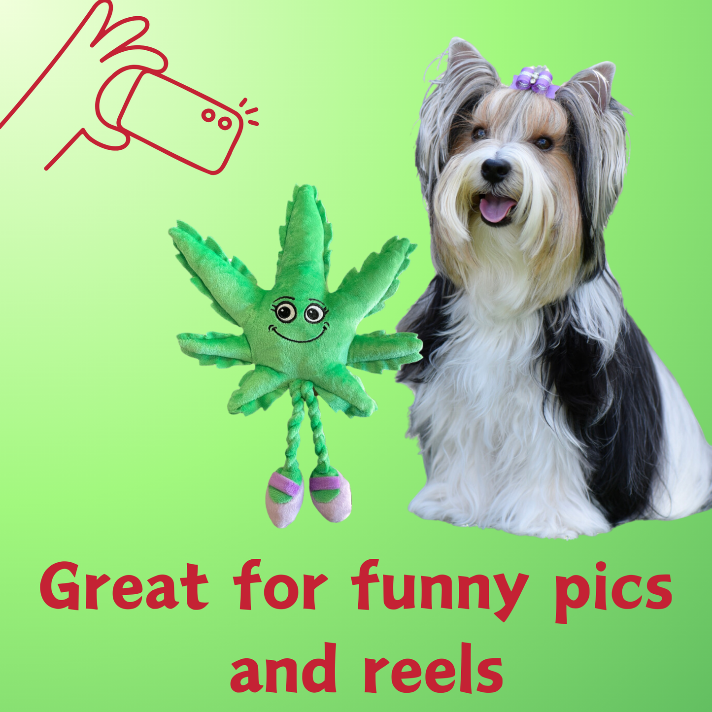 My Name is Mary Jane the Weed Leaf Stuffed Dog Toy