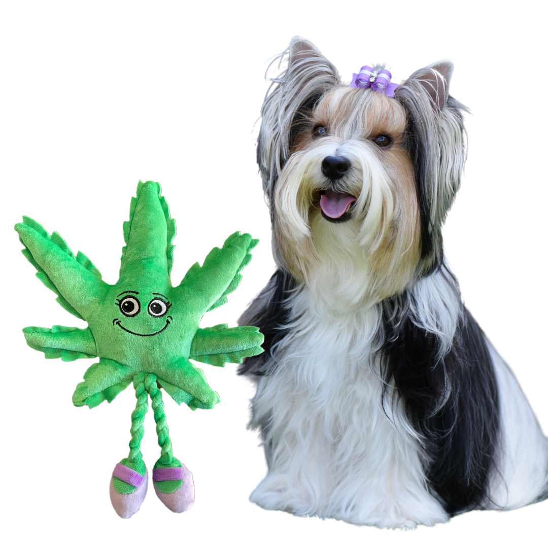 Mary Jane the Weed Leaf Cool Plush Squeaky Dog Toy