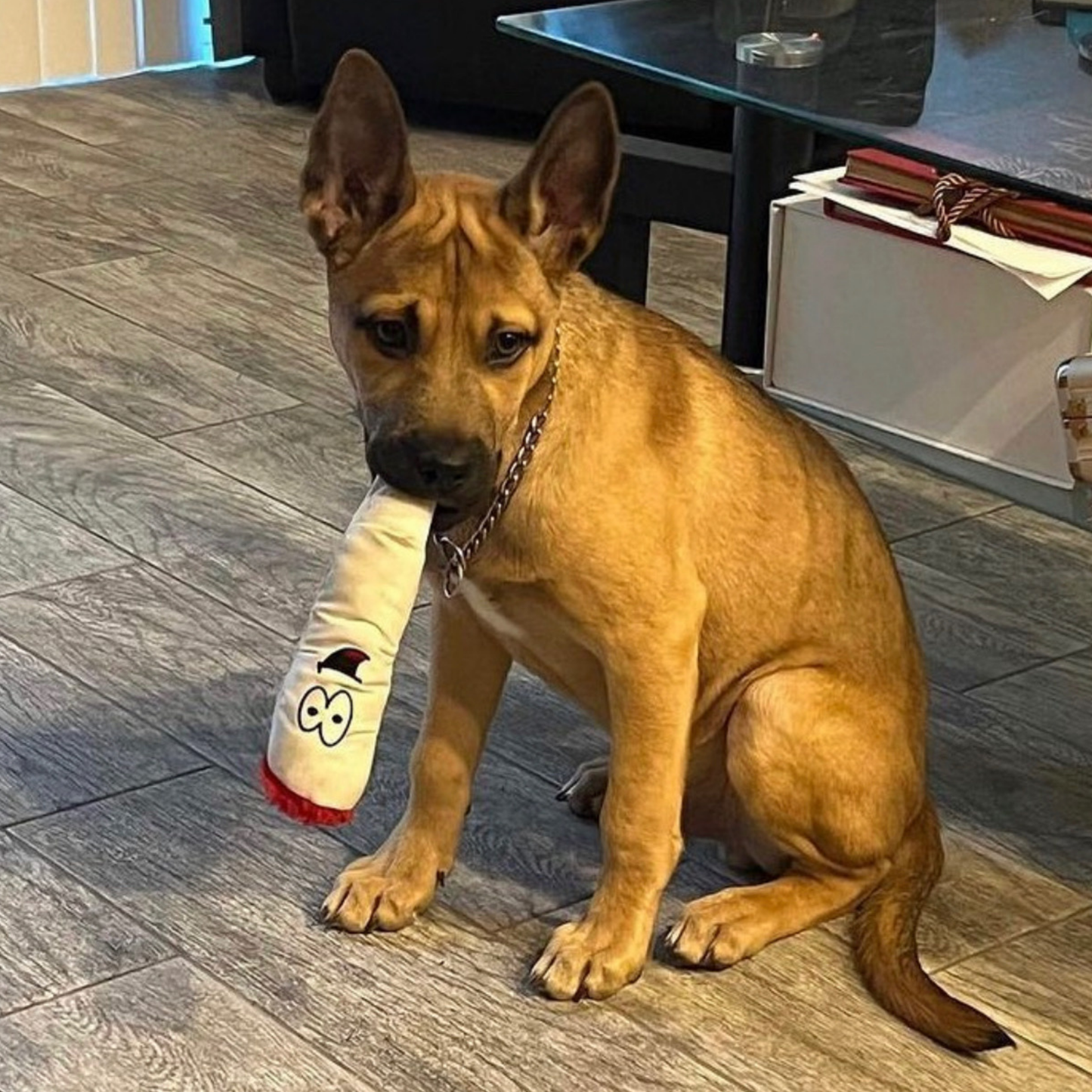 My Name is Jay the Joint Stuffed Dog Toy