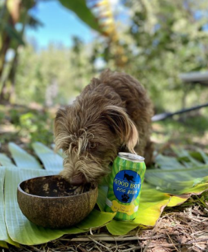 Good Boy Dog Beer Liquid Dog Treats